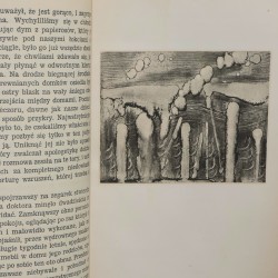 Filipowicz Kornel, Krajobraz niewzruszony