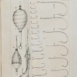 Rybactwo krajowe czyli Historyja naturalna ryb krajowych, Leśniewski Paweł Eustachy