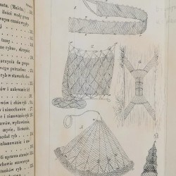 Rybactwo krajowe czyli Historyja naturalna ryb krajowych, Leśniewski Paweł Eustachy