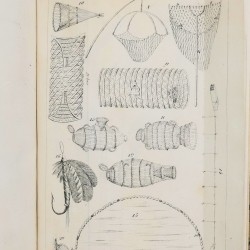 Rybactwo krajowe czyli Historyja naturalna ryb krajowych, Leśniewski Paweł Eustachy