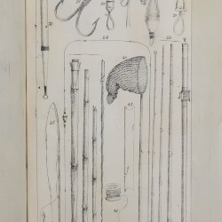 Rybactwo krajowe czyli Historyja naturalna ryb krajowych, Leśniewski Paweł Eustachy