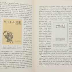 Polska sztuka dekoracyjna - Warchałowski Jerzy