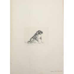 Wilder Hieronim, Grafika : drzeworyt, miedzioryt, litografja : wskazówki dla bibljotekarzy i miłośników sztuki.