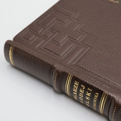 Stefania Kozakowska, Malarze Młodej Polski [1995]