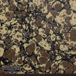 Tadeusz Makowski (1882-1932) [1991]