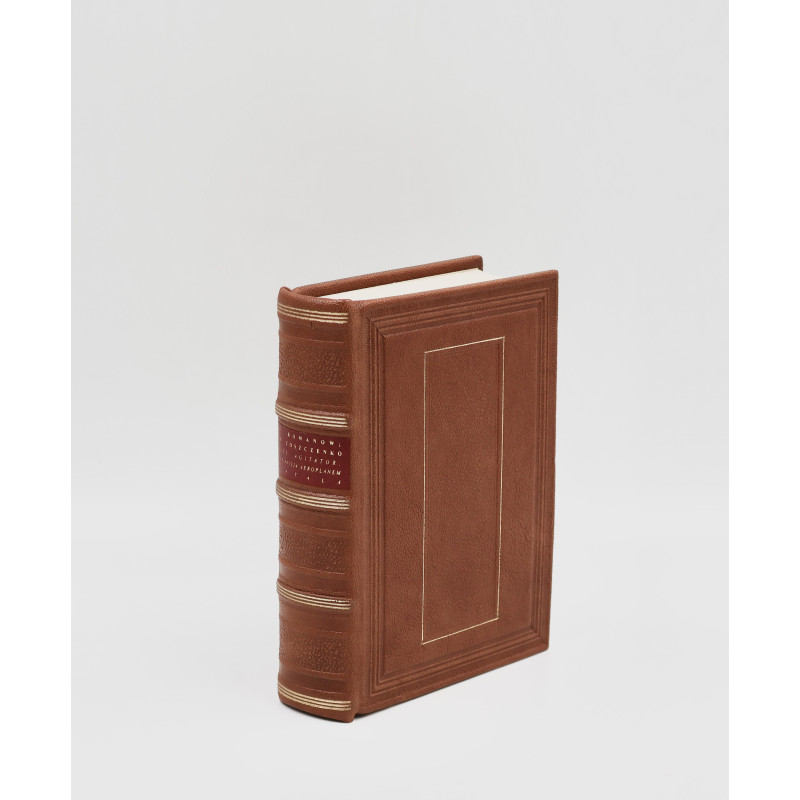 Romanów Pantelejmon, Bies [1929], Agitator