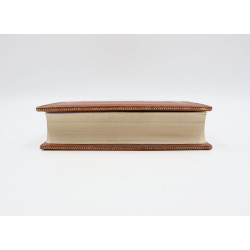 Romanów Pantelejmon, Bies [1929], Agitator